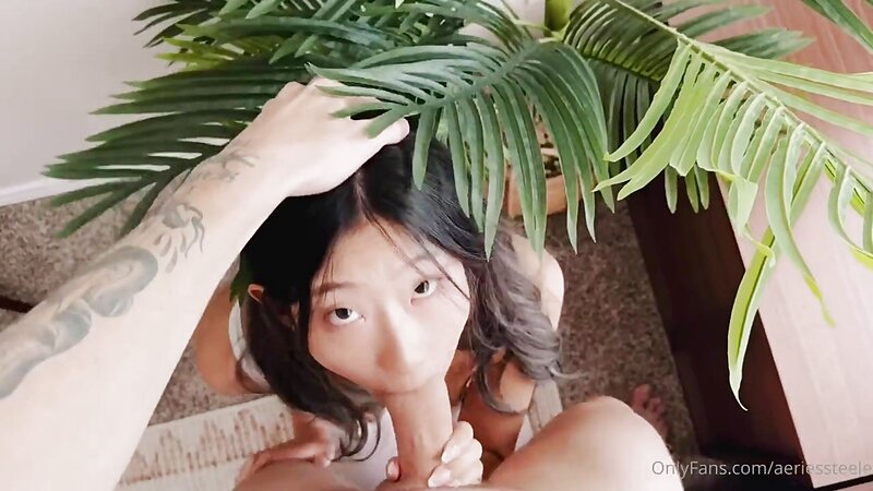 Aeriessteele Riding a Dildo till Cum