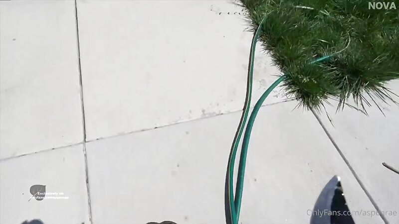 Aspen Rae Pussy Fucking with Big Zucchini