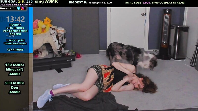Amouranth Pussy Flashing Live