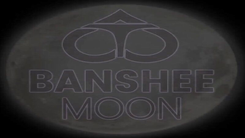 Banshee Moon Sexy Milf in Lingerie
