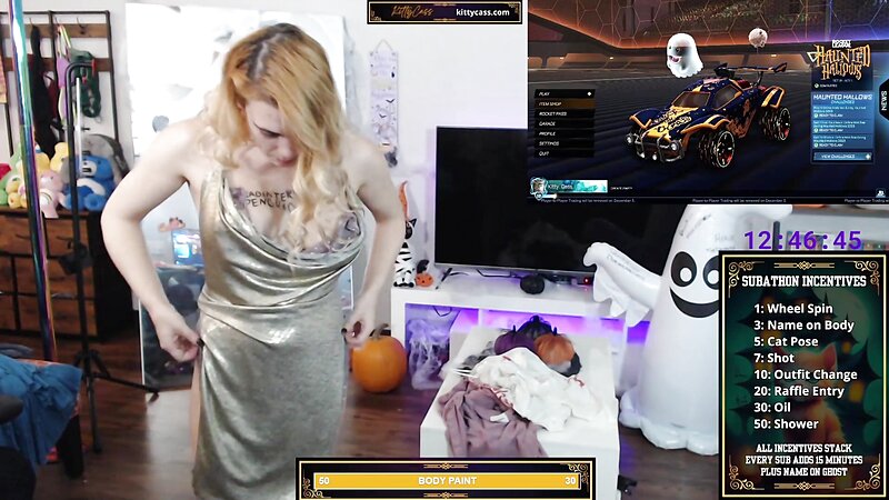 KittyCass Accidental Pussy Flash on Twitch
