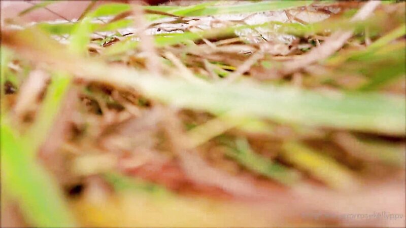 Rose Kelly Romantic Witchway Nude Action