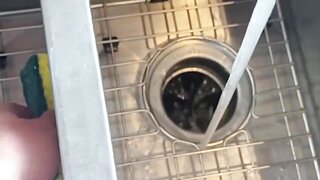 Elly Clutch In Incredible Sex Movie Amateur Exclusive Version