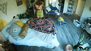 Nicole Aniston Homemade Neighbor Fuck Video Leaked