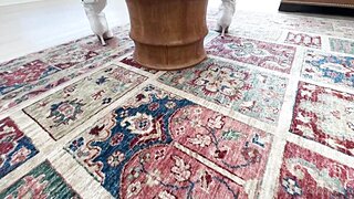 OnlyFans - Alexis Texas and Dredd (Dec 21, 2023)