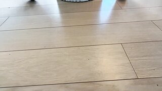 OnlyFans - Esperanza Gomez and Dredd (May 7, 2023)