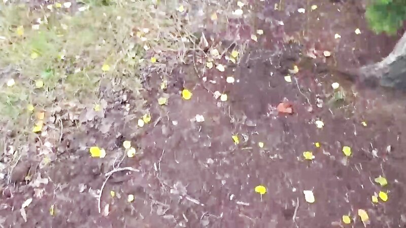 MiniLilly Sex in the Forest POV