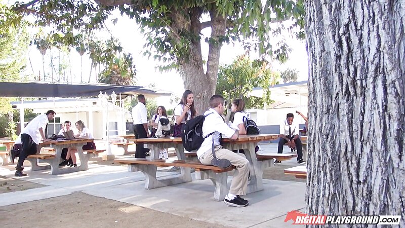 CassidyXKlein brunette petite Blowjob on School Bus Outdoor Public Taboo with BBC