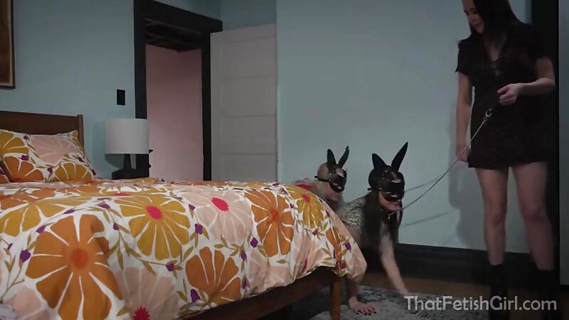 Tina Lee Comet Roleplay Turns Good Girls into Petgirls