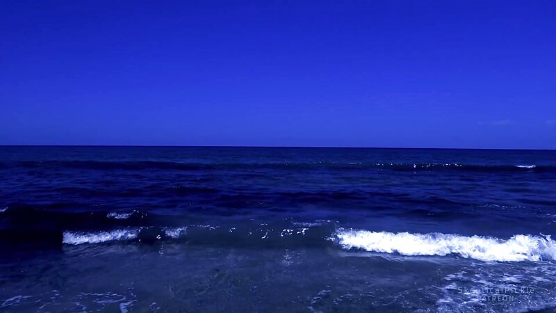 SkepticalPickle ASMR - 1 July 2026 - Super Relaxing Beach Video & Audio by Me | Golden Tier