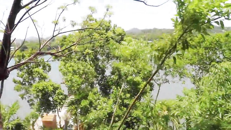 Lilyivy Guided Orgasm in Honduras