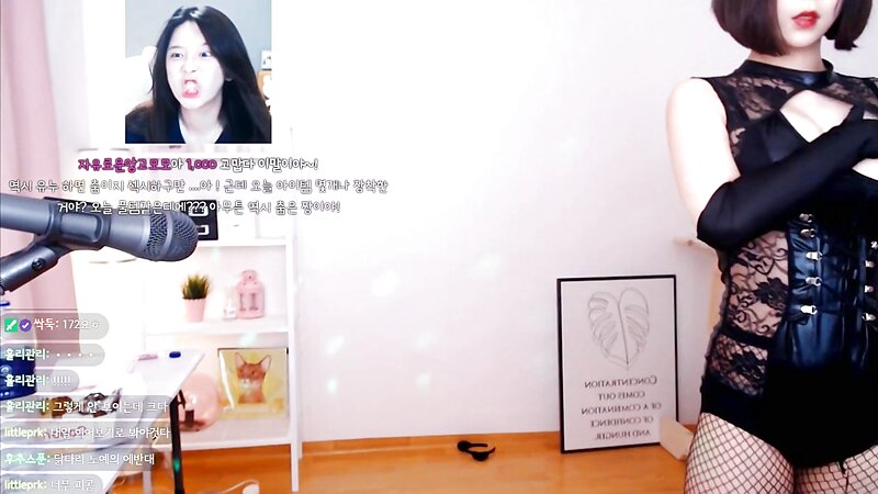 Korean Twitch Streamer Hot Nipple Slip