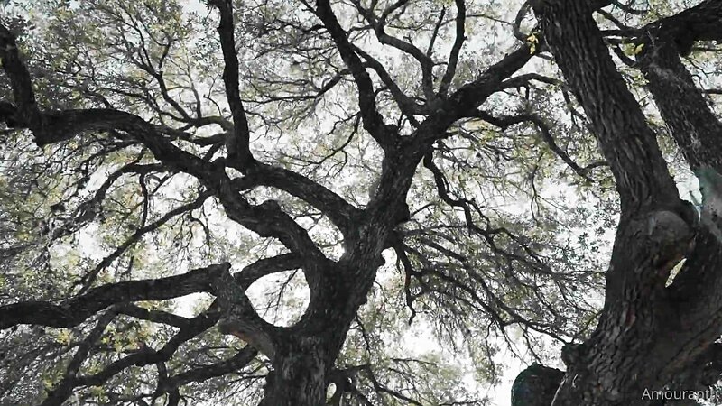 Amouranth and Jessica Nigri Cosplay Stripteasing